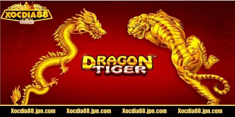Rồng Hổ Xocdia88 Có Gì Hấp Dẫn Khiến Nhiều Người Mê? 1 Giao diện trực quan giúp chơi Rồng Hổ Xocdia88 dễ dàng